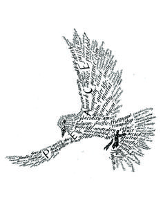 a drawing of an eagle with words written all over it