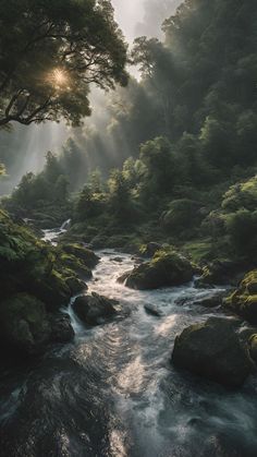 a river running through a lush green forest filled with rocks and trees in the sunlight