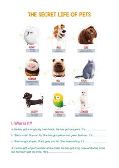 the secret life of pets worksheet for kids and adults with pictures on it