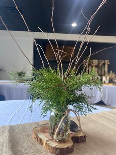 a vase filled with green plants sitting on top of a wooden table next to a blue table cloth