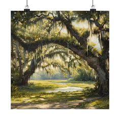 an oil painting of a large tree with moss hanging from it's branches