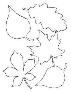 four leaves are shown in the shape of a leaf, and one is black and white