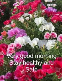 many different colored flowers with the words very good morning stay healthy and safe on them