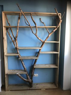 a tree branch is placed in front of a bookshelf with shelves on each side