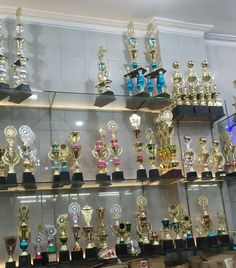 Academic Awards Aesthetic, Bedroom Layouts For Small Rooms, Blue Eyes Aesthetic, Glass Trophies, Award Display, Ombre Prom Dresses, Pageant Crowns, Trophies And Medals, Purple Rooms