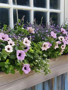 Window Box Ideas: Tranquil Palette of Blooms Patio Box Planters, Window Box Ideas, Wooden Flower Boxes, Front Porch Plants, Summer Window, Purple And White Flowers, Railing Planters