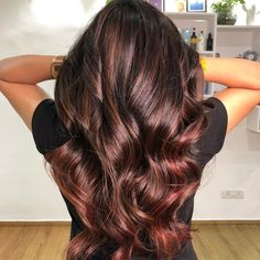 Cocoa Cinnamon Hair Color, Chestnut Brown Hair Dye, Hair Ideas For 2023, Dark Chestnut Hair, Auburn Hair With Highlights, Brown Hair Ideas, Cinnamon Hair Colors, Hair Color Brown Chestnut, Cherry Hair Colors