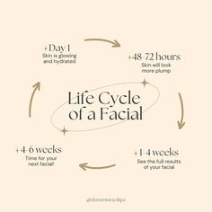 Life Cycle of a Facial Esthetician Room Supplies, Facials Quotes, Esthetician Inspiration, Davenport Florida, Esthetician Quotes, Facial Room, Esthetician School, Facial Routine Skincare, Beauty Skin Quotes