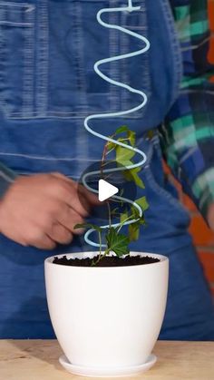 a person in an apron is holding a plant with its hands and touching the pot