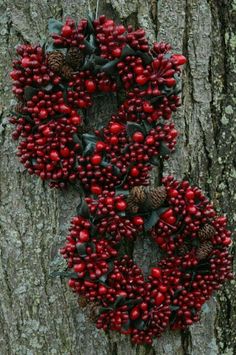 two wreaths hanging from the side of a tree with pine cones and berries on it