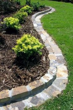 a stone path in the middle of a lawn with yellow flowers on it and green grass