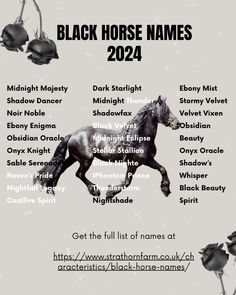 the black horse names in english