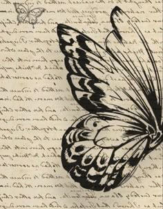 a drawing of a butterfly sitting on top of a piece of paper with writing in it