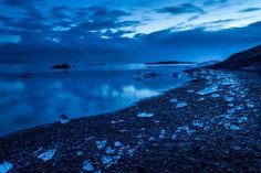 the water is blue and there are rocks on the beach near it at night time