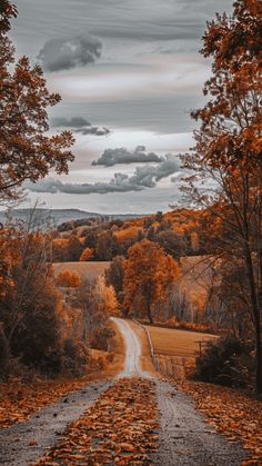 an empty dirt road surrounded by trees with orange leaves on the ground and cloudy sky