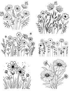 four different types of flowers with black and white ink on paper, each one has an image