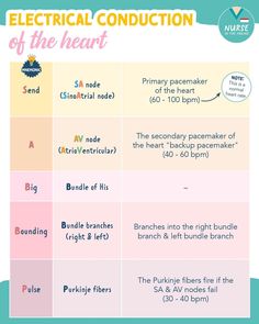 an electrical conduct chart for the heart