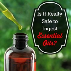 Is It Really Safe to Ingest Essential Oils? Nontoxic Living, Essential Oil Safety, Essential Oil Diffuser Blends, Natural Health Tips, Oil Diffuser Blends, Tech Gear