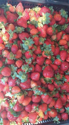 a large pile of strawberries sitting on top of each other