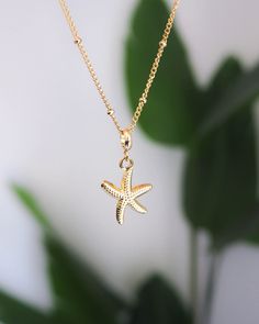 Onze prachtige Sea Star Gold-ketting combineert moeiteloos elegantie met een vleugje oceaan.🌟 De hoogwaardige 18-karaats vergulde roestvrijstalen ketting is versierd met een Sea Star-hanger die een vleugje kustcharme geeft, waardoor het een statement-stuk is voor elke gelegenheid. De Sea Star of Starfish is een symbool van veerkracht, regeneratie en de schoonheid van de oceaan. Met verfijnde details en een glanzende gouden tint voegt deze hanger een vleugje kustcharme toe aan elke outfit. Voeg Star Gold Necklace, Star Necklace Gold, Starfish Necklace, Coastal Charm, Sea Star, Charm Making, Girl Jewelry, Ocean Inspiration, Girly Jewelry