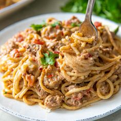 a white plate topped with pasta covered in sauce and garnished with parsley