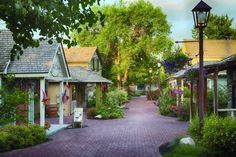 a street lined with lots of small houses and flowers growing on the side of it