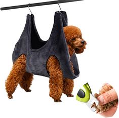 a dog hanging on to a clothes line with a pair of scissors