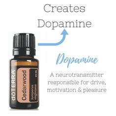 www.doterra.com #2986614 Essential Oils To Increase Dopamine, Doterra Make And Take Ideas, Essential Oil Combinations, Essential Oils Guide, Brain Stem, Essential Oils For Sleep