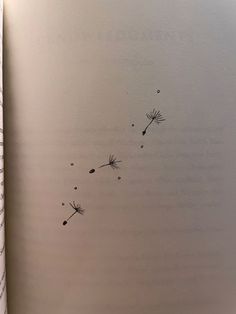 an open book with dandelions drawn on it