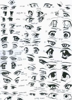 an image of various types of eyes