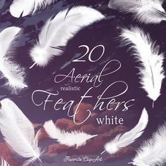 an image of feathers with the words 20 artistic feathers white on it's cover