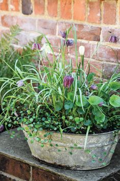 a potted plant sitting on top of a brick wall