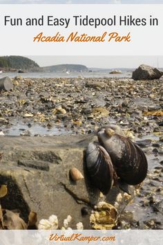 some rocks and water with the words fun and easy tide pool hikes in acadia national park