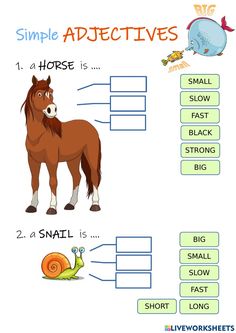 a horse and snail worksheet for kids to learn how to read the words