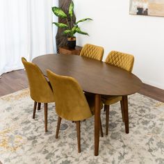 a dining table with four chairs and a potted plant in the corner behind it