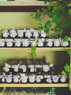 the shelves are filled with jars and plants