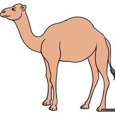 How to Draw a Camel New Drawing Ideas, Easy Drawing Guides, Drawing Steps, Drawing Guides, Easy Drawing Tutorial, New Drawing, Popular Cartoons