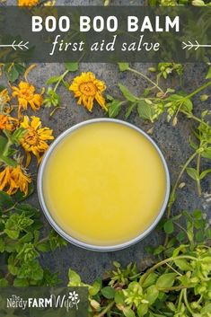 Boo Boo Balm (first aid salve for all ages) Essential Oils For Arthritic Hands, Dandelion Salve Recipes, Arthritic Hands Natural Remedies, Edible Weeds