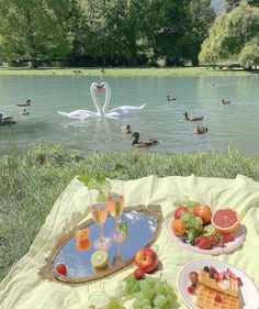 a picnic with fruit, waffles and watermelon on the grass