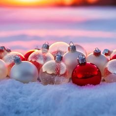 a group of red and white christmas ornaments in the snow at sunset or dawn,