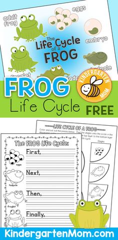 frog life cycle worksheet for kids to learn how to read and write the words