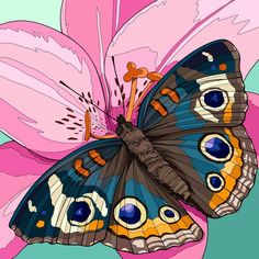 a butterfly sitting on top of a pink flower next to a green and blue background