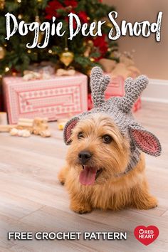 a dog wearing a knitted reindeer hat with the words doggie deer shop on it