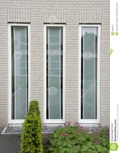 an image of two windows on the side of a building with plants in front of them