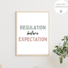 a framed poster with the words regulation before expectation on it next to a potted plant