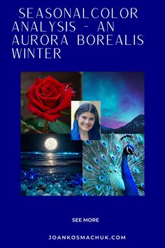 the cover of seasonal color analyses - an aurora borealis winter by joann s macchuk