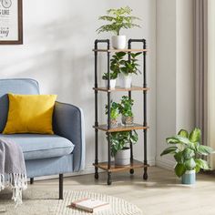 a living room with a blue couch, potted plants and a yellow throw pillow