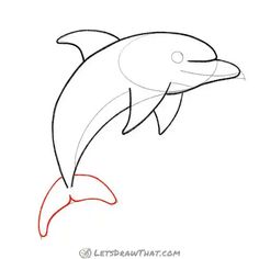 how to draw a dolphin step by step