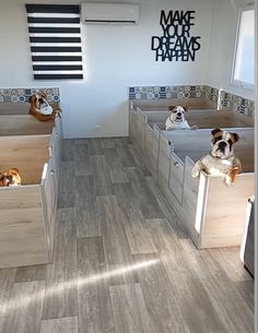 two dogs are sitting in the middle of some drawers