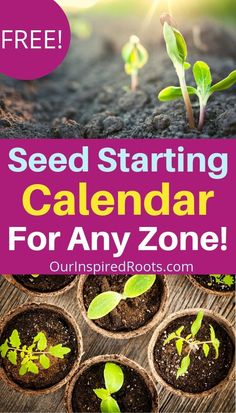 seed starting calendar for any zone